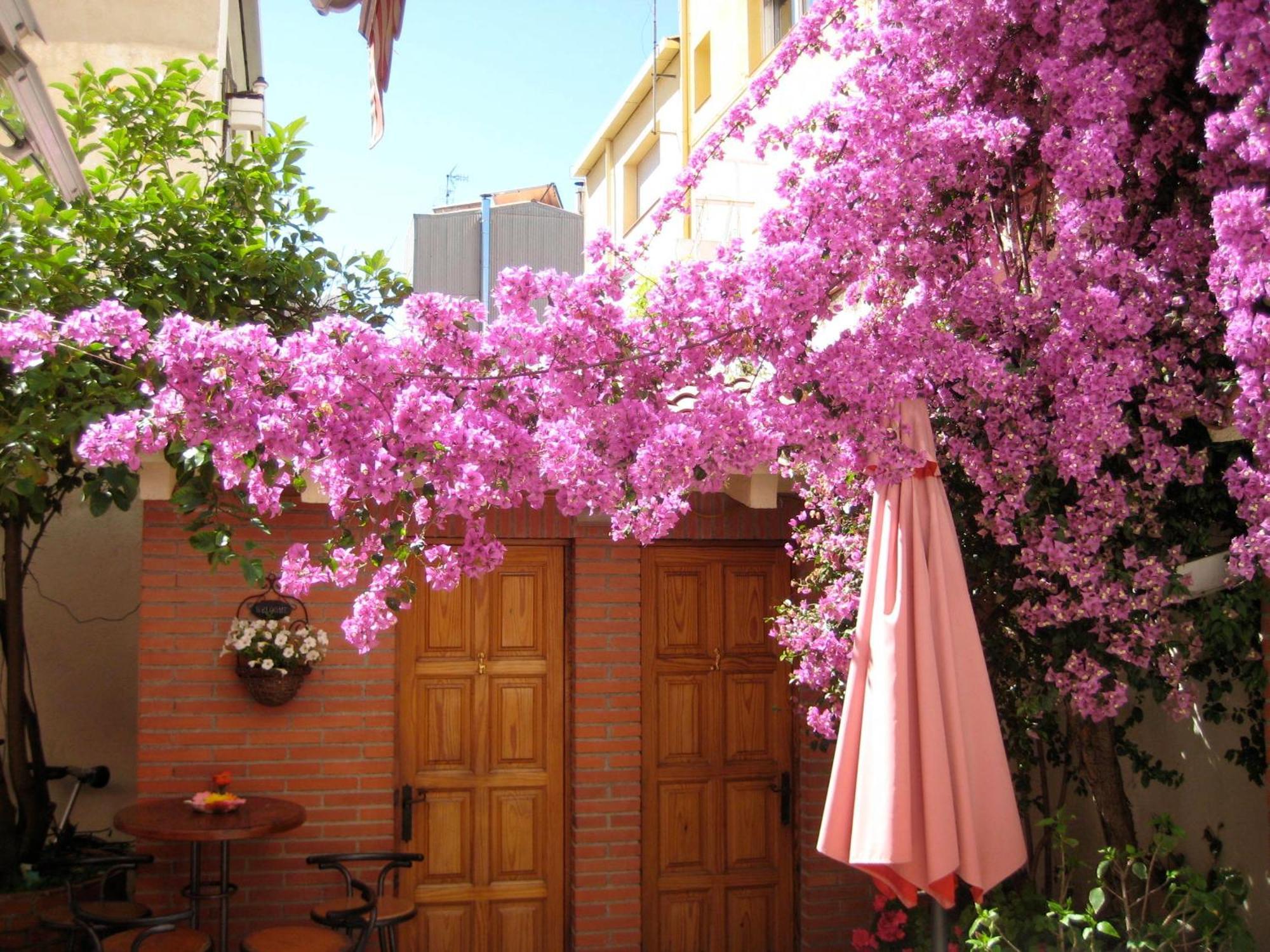 Pension Casa Austria Калея Екстериор снимка